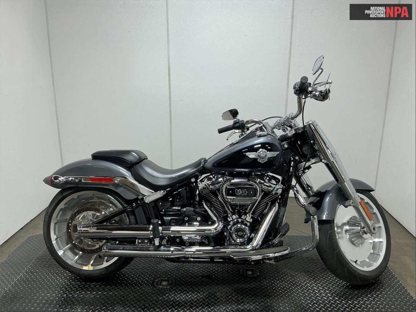 2021 Harley-Davidson   (VIN: 1HD1YGK10MB067363)